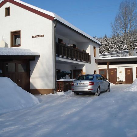 Apartmán Haus Steinwaldblick Bernlohe  Exteriér fotografie