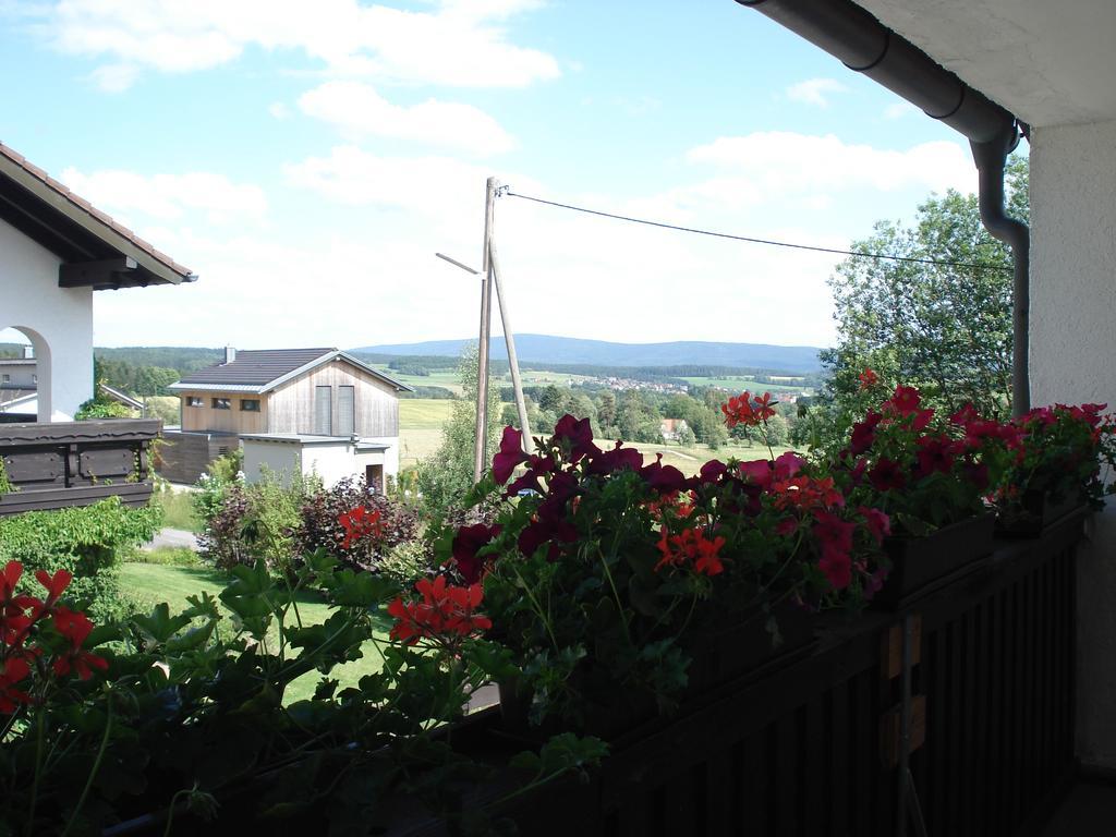 Apartmán Haus Steinwaldblick Bernlohe  Exteriér fotografie