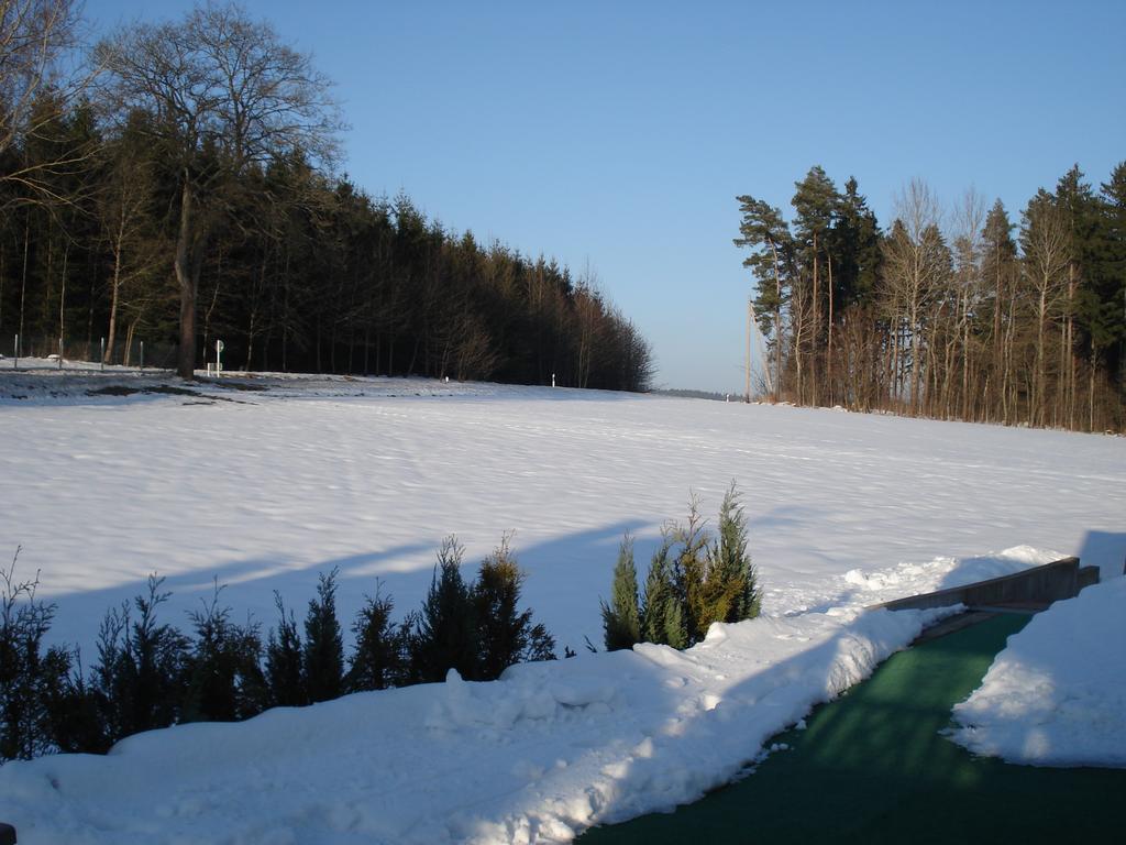 Apartmán Haus Steinwaldblick Bernlohe  Exteriér fotografie